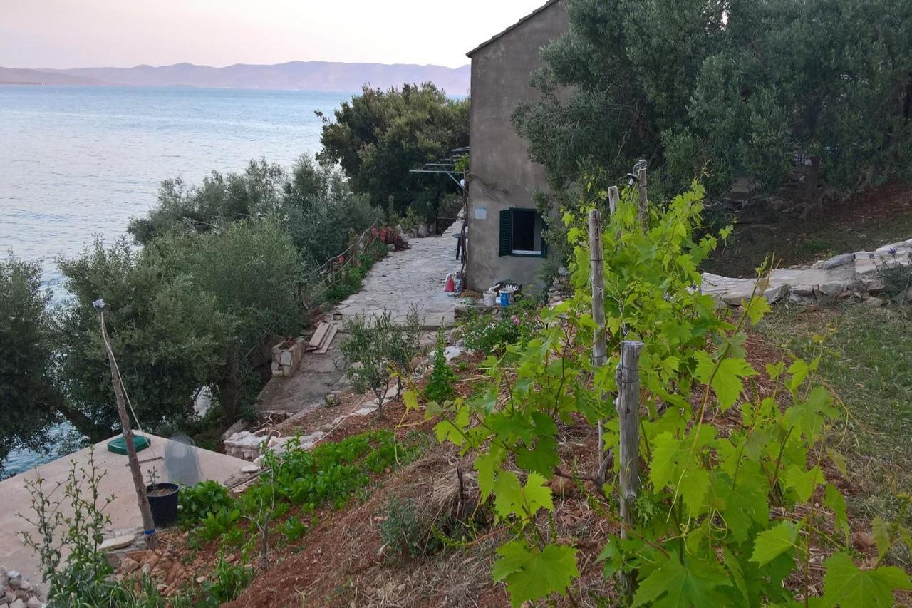 Seaside Secluded Cove Torac, Hvar - 4044 Apartamento